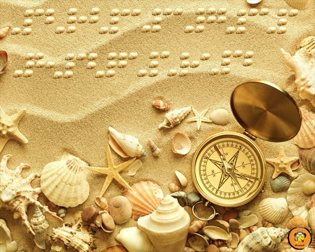 A pérola da Vagueira