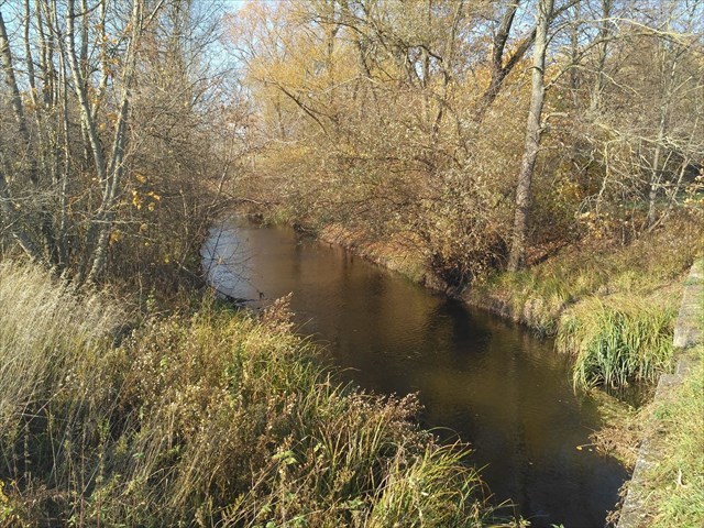 Potok Včelínek - ústí do ramene Dyje