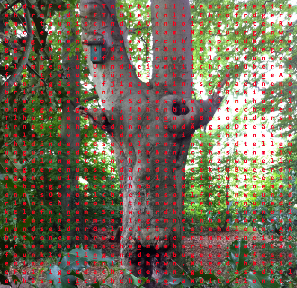 Der Waldtroll Bilderätsel