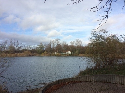 Bahnweiher Schifferstadt