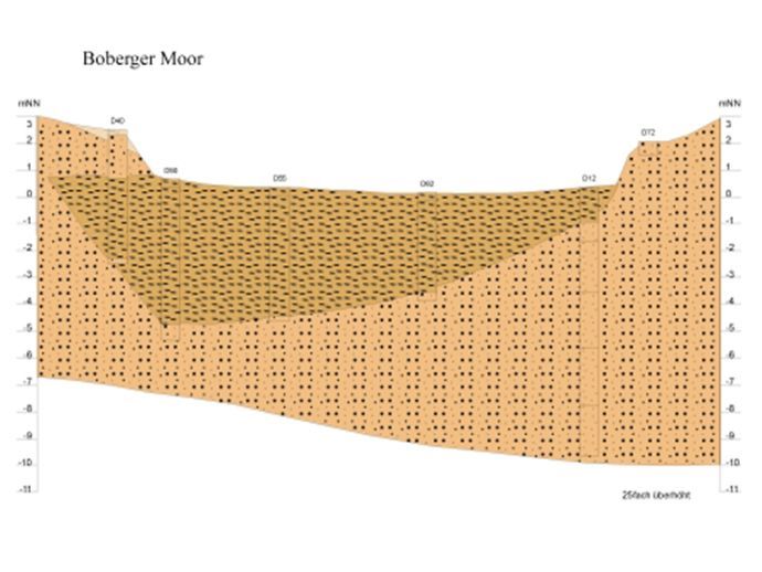 Schnittzeichnung durch das Moor