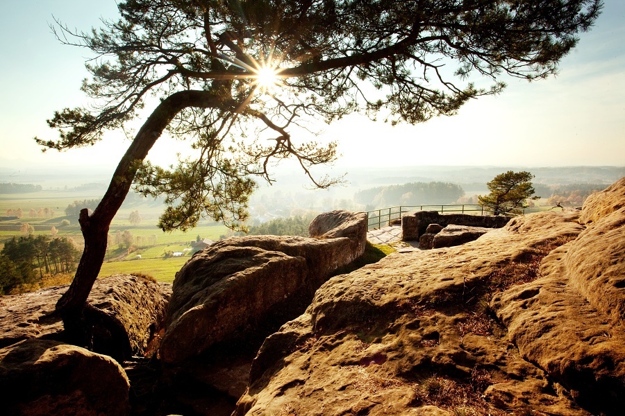 Community Celebration Event