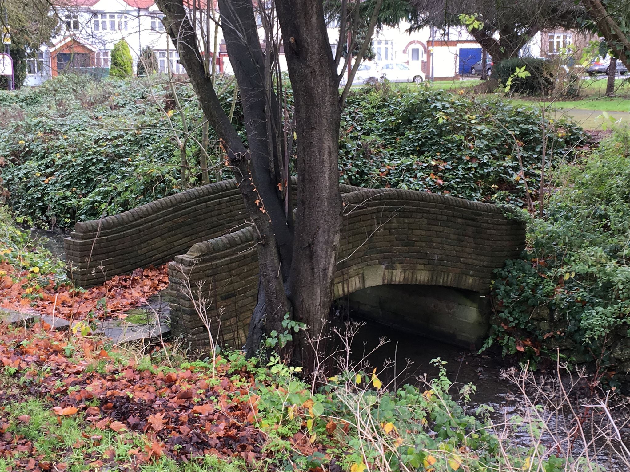 A little bridge