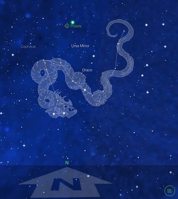 853e744b-4103-451e-82a7-4f7911f836a8_l.jpg (572×640)