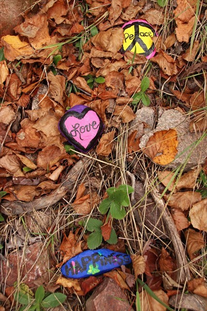 Painted rocks inside caches - General geocaching topics - Geocaching Forums