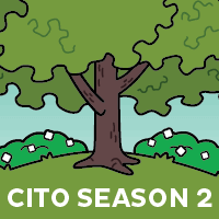 CITO 2025 Season 2