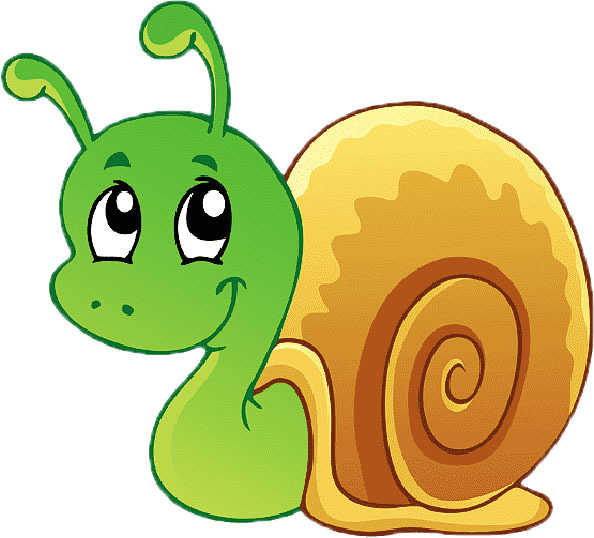 snail