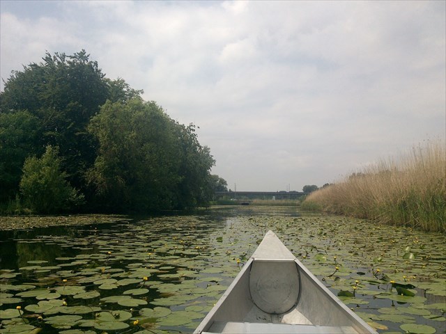 Blauwe Verbinding ~ Zuiderparkweg