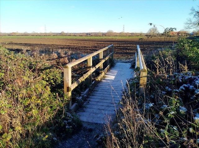 Little Bridges, Coddington