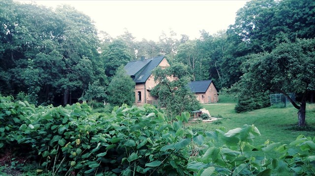 Forsthaus Teerofen 2020