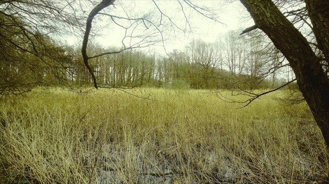 GC994NJ Karower Geschichte(n) Angeln am Spukmoor (Traditional Cache