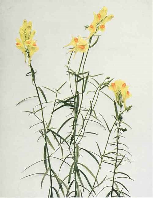 GC6PM1W ButterandEggs (Traditional Cache) in New York, United States created by K.E.T.