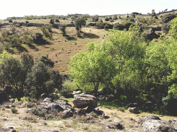 Vista de la vega del río Gamo
