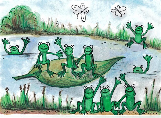 Žáby vítají kačery u svého rybníčku