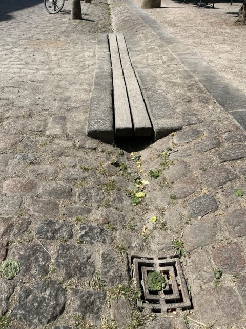 88eed0eb-6143-402c-b84b-9f1887d5437a_l.jpg (480×640)