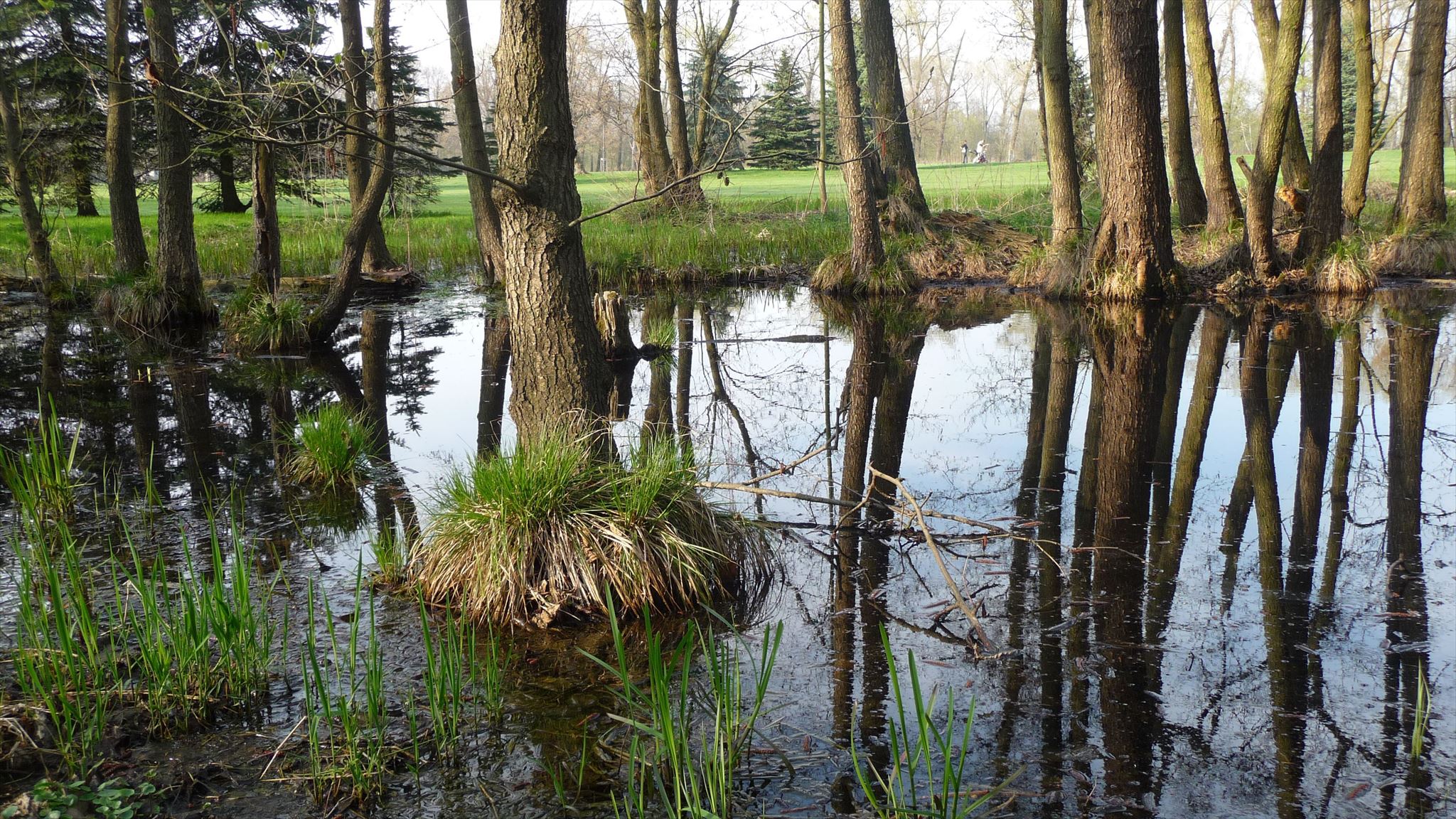 GC9TFPX KOMÁŘI (Unknown Cache) in Středočeský kraj, Czechia created by