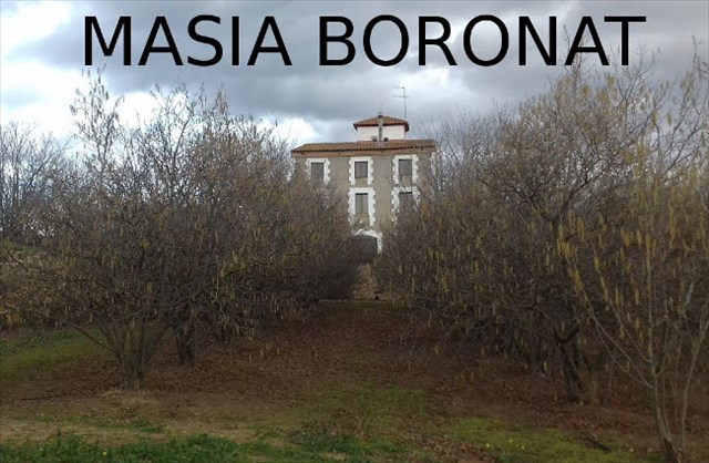 Masia Boronat