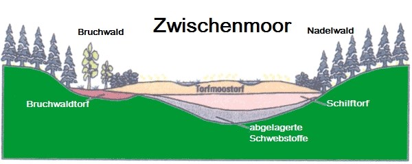 89370a6e-7c62-42b4-8ec6-77996a26f2b1_l.j