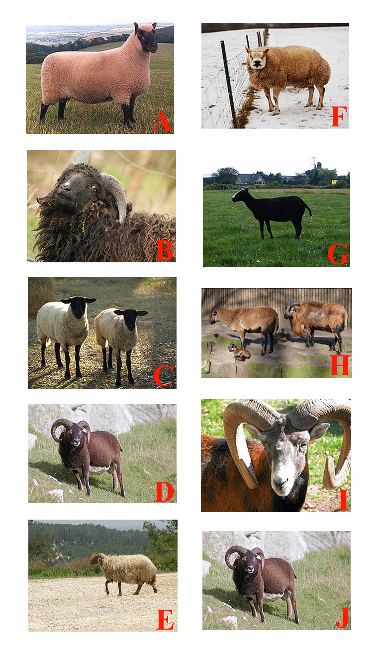puzzel voor GC8FNTR