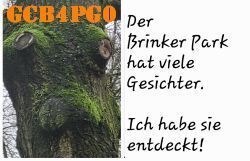 Baumgesichter im Brinker Park