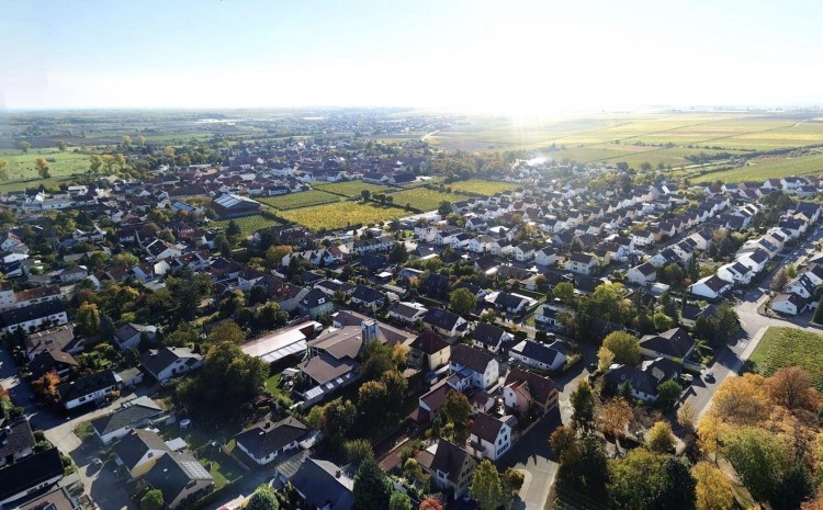 Überblick über Dirmstein