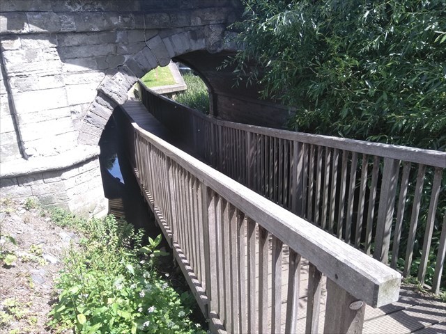 Little Bridges Under Trent Bridge