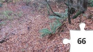 Jigsaw puzzle - Philtime-9