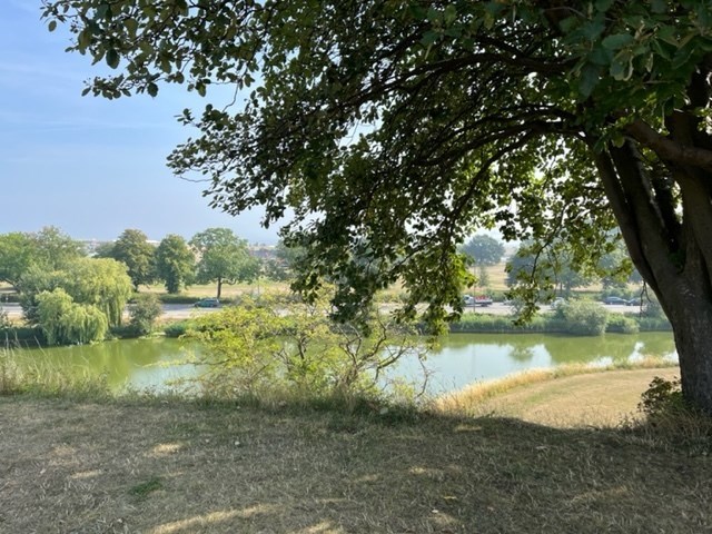 8ab7a5a3-be3c-46ea-94c4-77937944e6fe_l.jpg (640×480)