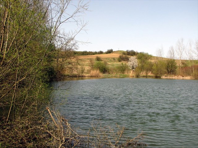 Rybník (autor: Pavel Jansky)