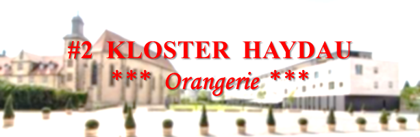 #2 Kloster Haydau: Orangerie