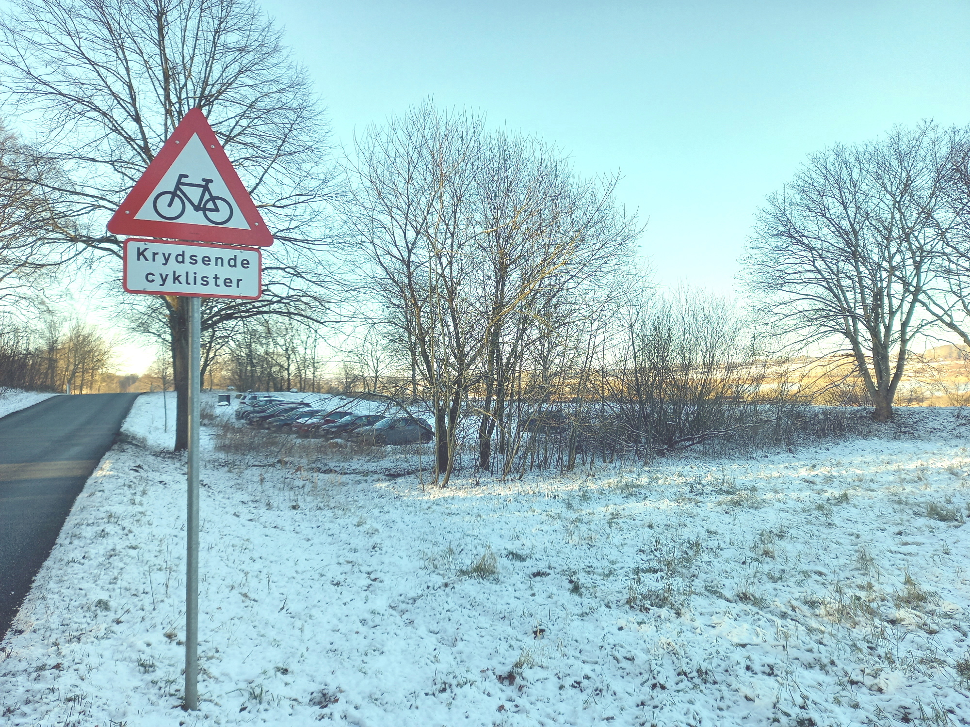 8b9ca17d-b6aa-4abd-b361-bdb34d09e7f6.jpg (2000×1500)