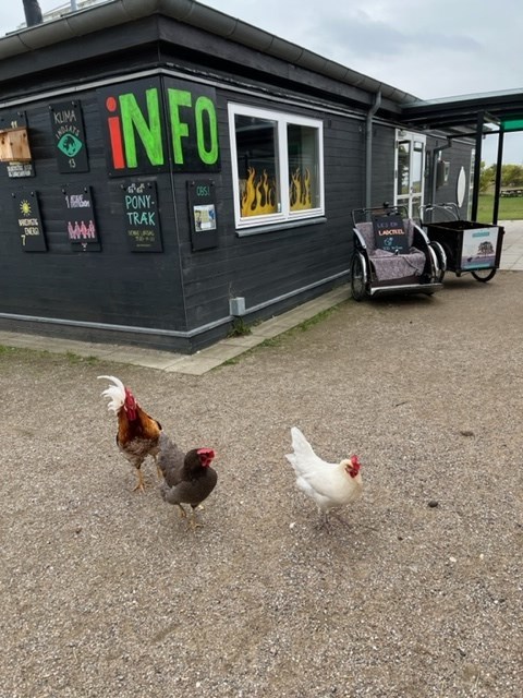 8bb31558-143b-4cd2-b75a-2ebd9beb4630_l.jpg (480×640)