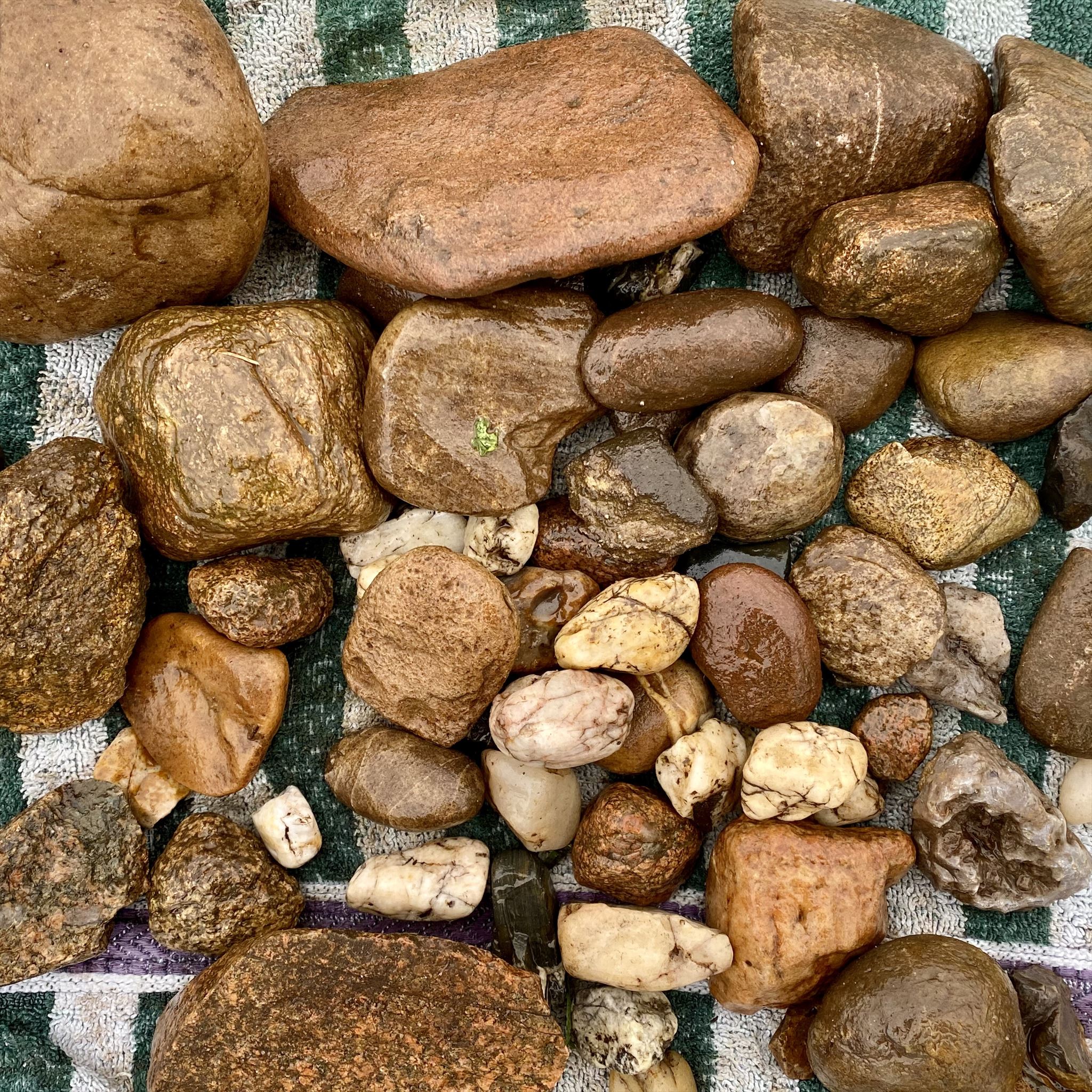 Mitbringsel Mitbringsel
