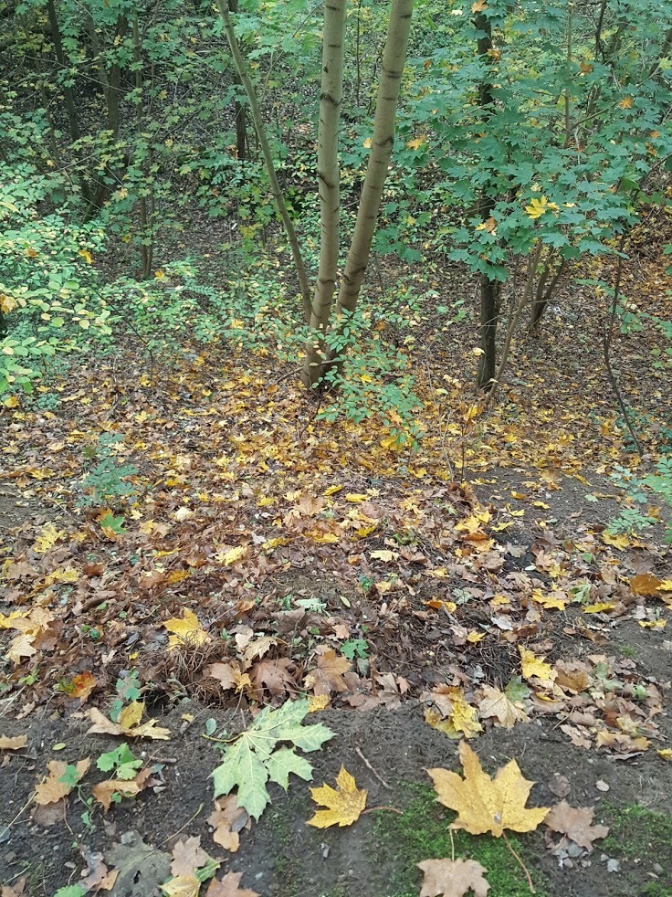 Herbst!