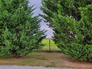 The Gap to be Minded