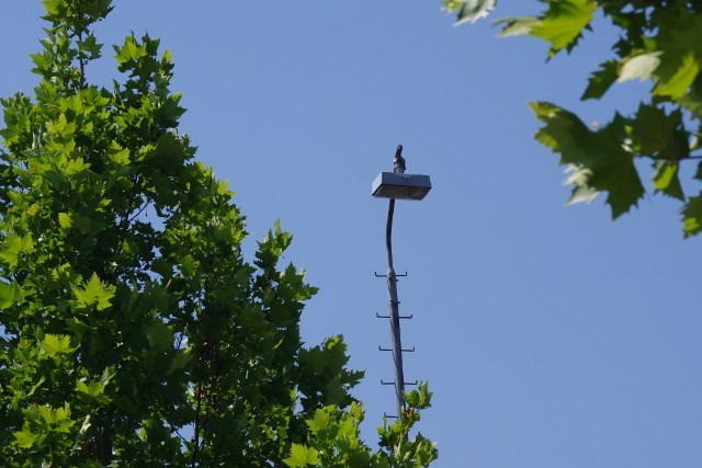 ACHTUNG wichtiges Foto fehlt!