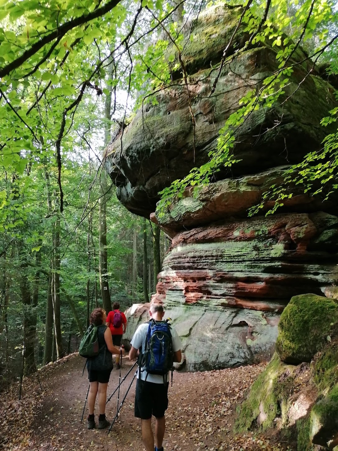 Felsen auf dem Felsenpfad