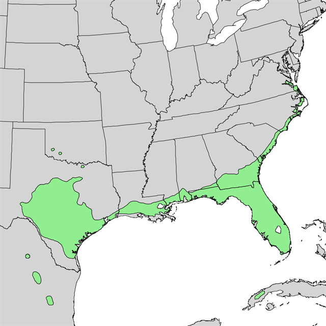 GC70RHF Live Oaks (Traditional Cache) in Florida, United States created