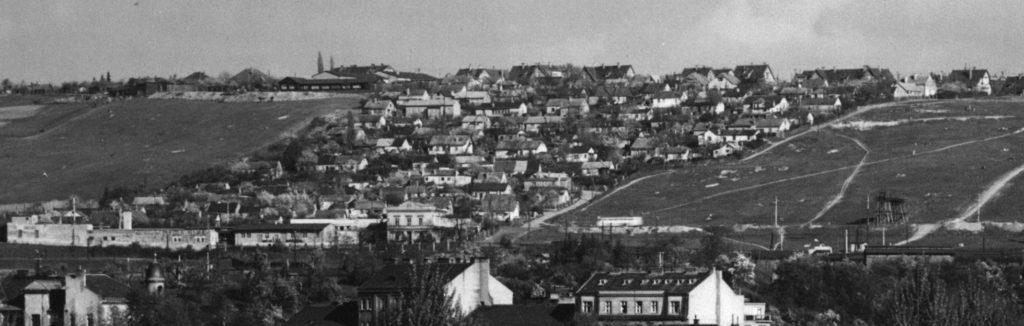 Krejcárek v roce 1956