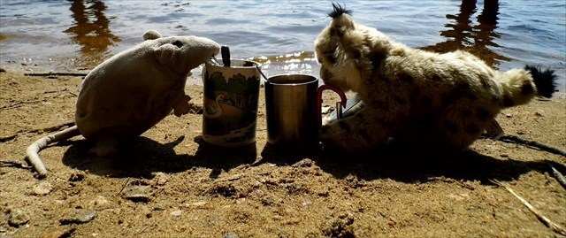 8dd01579-b4dc-4530-ae7d-e1d8df4c4fdd_l.jpg (640×269)