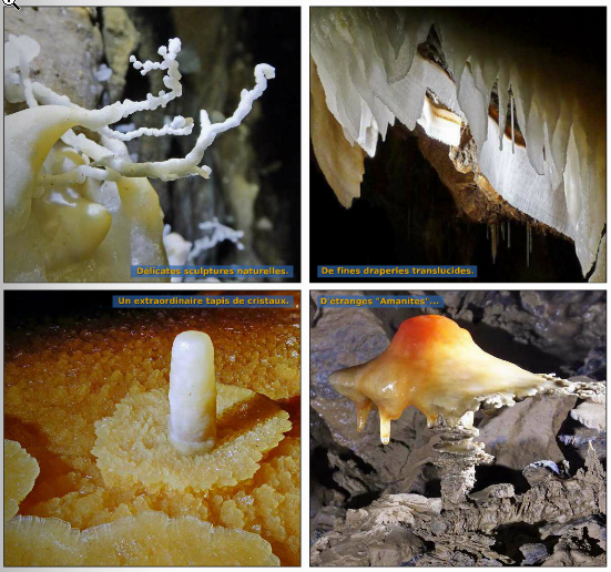 Des découvertes extraordinaires