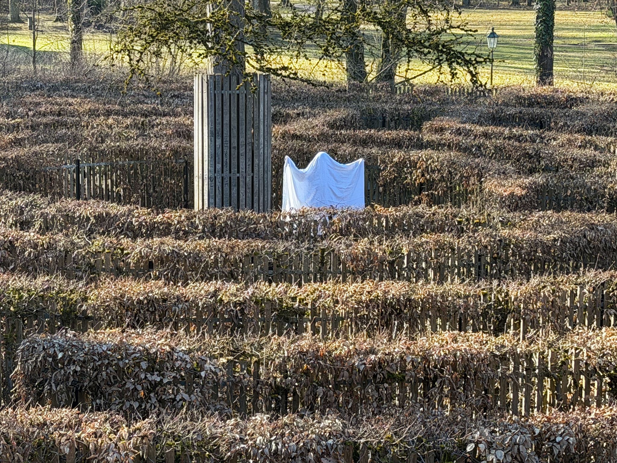 Kleiner Geist im Irrgarten