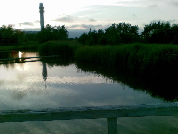 Cachelocatie / Karpervijver