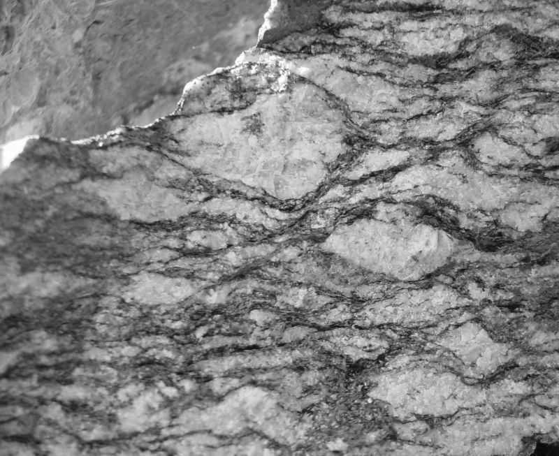 Steinbacher Augengneis