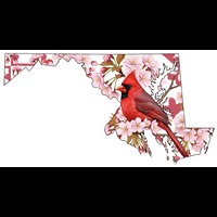 Celebrating 25 Years of Geocaching in the DMV