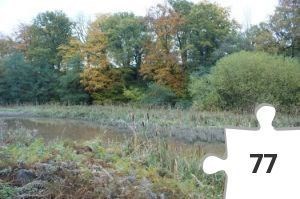 Jigsaw puzzle - Philmtime-7