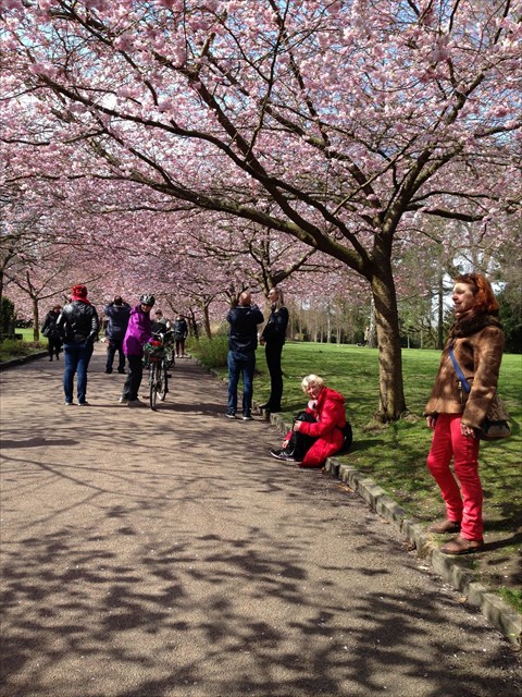 90d44281-43b7-487f-a185-8665f1b09dca_l.jpg (480×640)