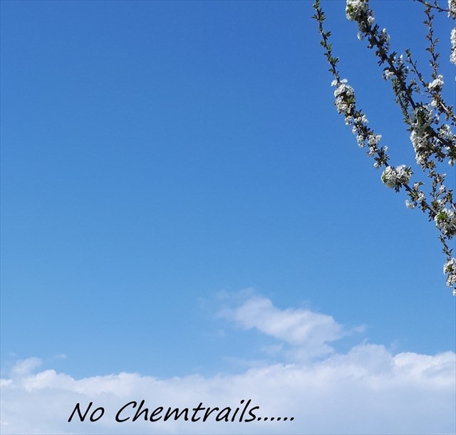 Chemtrails