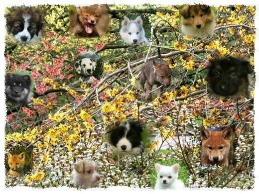 Serverprobleme - versuch es später nochmal