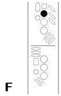 F